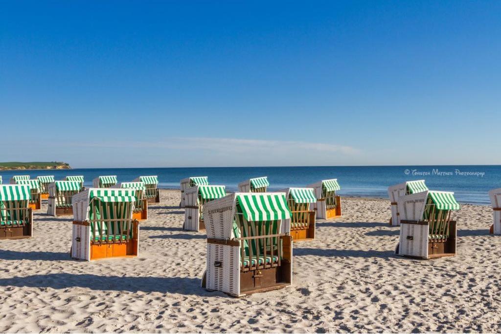Ferienwohnung Seestern Fuer 6 Personen Mit Kamin & Terrasse Болтенхаген Екстериор снимка